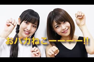 おバカねこーーーー!! 飯窪春菜と金澤朋子と いろいろ