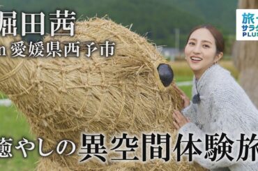 【堀田茜 in 愛媛県西予市】6年越しの再会に感動！？
