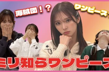 アニメを知らないメンバーにONE PIECEの相関図作らせたら、世界観崩壊したwww