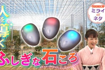 【出演：川田裕美】 『もうすぐ万博！ミライのネタ』 着々と準備が進む大阪・関西万博！▼今回はなんと屋根も壁もない独特なパビリオンBetter Co-Being（ベター コービーイング）をご紹介