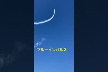 ブルーインパルス✨【長野MM】