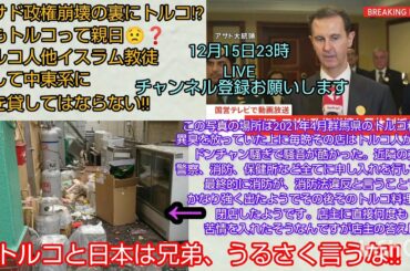 【アサド政権崩壊】アサド政権崩壊の裏にトルコ⁉️でもトルコって親日😟❓️トルコ人はじめイスラム教徒そして中東系に家を貸してはならない‼️LIVE 裁判可視化 #私たちの存在を消さないで #アサド政権