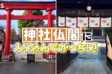 『がっちりマンデー!!』12/22(日) 神社仏閣に入り込んでがっちりビジネス!!【TBS】