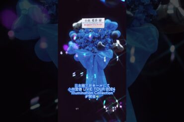 東京 フラスタ 可愛い 小林愛香 #shorts