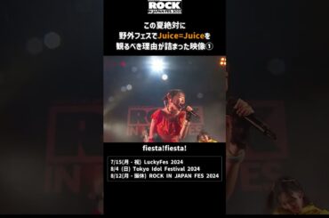 2024夏の野外フェスで絶対に観るべき「Juice=Juice」まとめ #shorts #ライブ #ハロプロ #juicejuice #ロッキン