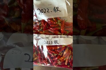 映画「みんな笑え」公開まで66日！