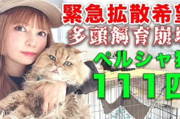 【拡散希望】どうか皆さんの力を貸してください！