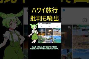 小山慶一郎＆宇野実彩子がハワイ旅行