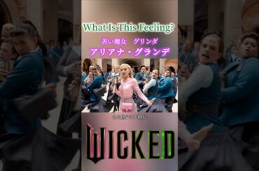 映画ウィキッド ♪What Is This Feeling? 字幕付② アリアナ・グランデ #wicked #ウィキッド #ミュージカル