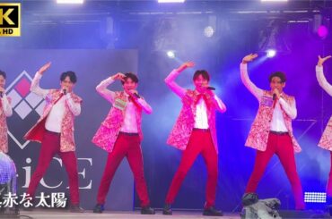 【SHOW-WA】「真赤な太陽」-  美空ひばり [Da-iCE 10th Anniversary  2024] /  フジテレビ「ぽかぽか」出演　秋元康プロデュース ぽかぽか