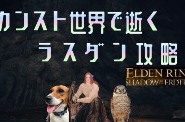 カンスト世界で逝くエルデンリング