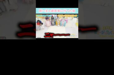 『飼い主と歯医者に行った猫』#日向坂46 #日向坂ミュージックパレード #藤嶌果歩