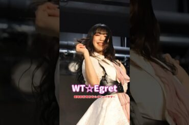 #shorts #wtegret #ホワイトイーグレット #姫路ご当地アイドル #ご当地アイドル #アイドル #姫路市 #姫路 #idol #himeji #japanidol #artist