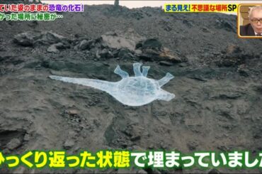【世界まる見え!テレビ特捜部】🍓🍒「所ジョージｘ上原浩治」『「まる見え! 不思議な場所SP.生きていた姿のままの恐竜の化石!』