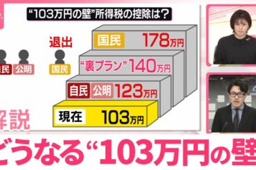 【解説】123万円で決着か…“103万円の壁”引き上げ  税制改正の与党案が正式決定