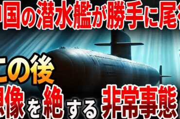 【海外の反応】中国の原子潜水艦が勝手に尾行行動！この後想像を絶する非常事態に発展？！