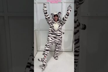 田村保乃 流れ弾を踊るタイガーほのちゃんが可愛すぎる♪着ぐるみダンス 櫻坂46 TikTok
