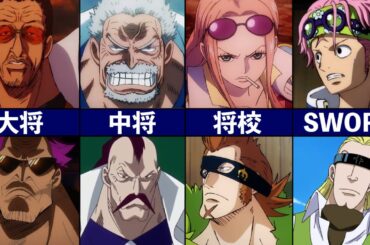 【ONEPIECE】階級別の全海軍キャラまとめ
