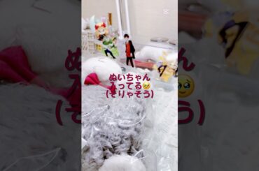 他界隈でも見てくれますか🥺ピューロの動画はちょっと待って貰えると嬉しいですー#グッズ #推し活#うたプリ#カルナイ#黒崎蘭丸#ばずれ#開封動画