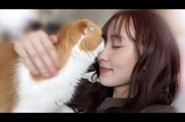 菅井友香、１４年連れ添った愛猫との別れを報告...「心にぽっかり穴が空いてしまって」と心境告白