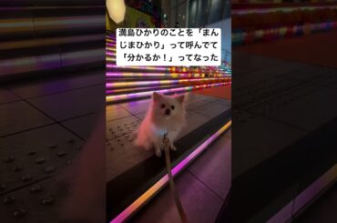 満島ひかりのことを「まんじまひかり」って呼んでて「分かるか！」ってなった