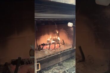 暖炉でマシュマロを焼きました。その2-リベンジするも焦げを恐れるあまり多分遠すぎる-