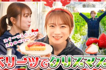 クリスマスは「ベリーツ」の圃場からお届け！真っ赤な見た目がキュートないちご「ベリーツ」を秋元真夏さんが収穫！【クリスマス特別企画付き】