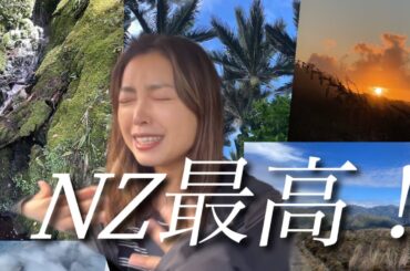 【NZワーホリ】5日間のハイキングが最高すぎた！ニュージーランドに来れて本当に幸せです！