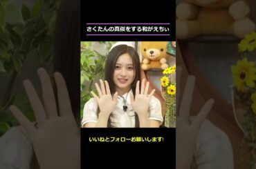 【井上和】さくたんの真似をする和がえちちすぎる をお届け #shorts    #showroom  #井上和    #乃木坂46 #のぎおび #乃木坂工事中 #バナナマン