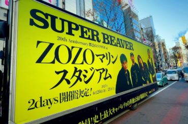 SUPER BEAVER 20周年アニバーサリー ✌️ZOZOマリン2Days✌️