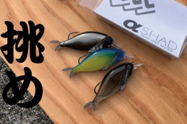 【特許】釣り好き大学生がルアーデザイナーになるまでの物語