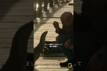 小さな島の愛と絆のカワウソ物語 – 予告編  | ナショジオ