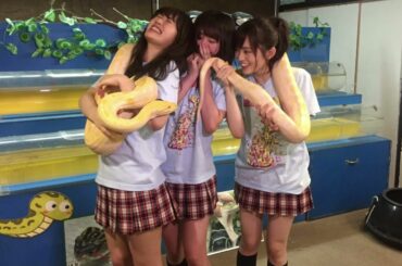 【6月24日は空飛ぶ円盤記念日🛸】N清食品UFO🛸Uは美味いFは太いOは何？