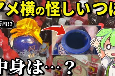 アメ横センタービル地下街「怪しすぎる1万円の壺」の中身が衝撃すぎた・・・【ずんだもん＆ゆっくり解説】
