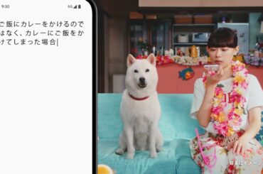 ソフトバンク CM「白戸家 パープレに相談 カレー」篇