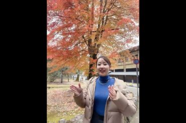 #shorts # #宮島北大路魯山人美術館 #魯山人 #河村綾奈 #宮島