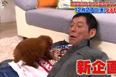 さんま､犬を飼う？激カワ子犬との出会い＆思い出の地で愛犬散歩『明石家さんまのご長寿グランプリ2024』12/27(金)【TBS】