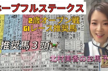 中山11レース芝2000メートル2歳オープン戦　ホープフルステークス本命はこの馬！！