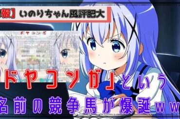 【悲報】「ドヤコンガ」という名前の競争馬が爆誕wwwwwww【水瀬いのりちゃんとは無関係です】