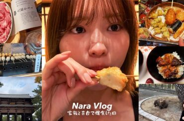 【VLOG】奈良で家族と食べ歩きしたら最高のごはん屋さんをたくさん見つけちゃいました【爆食い】