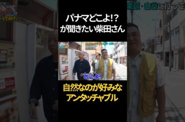 パナマどこよが聞きたい柴田さん #shorts #バラエティ #アンタッチャブル #アンタッチャブルの早速行ってみた #バイきんぐ小峠 #山谷