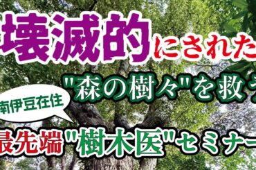 全国で活躍中〜 南伊豆在住 の「樹木医」森 広志さんセミナーに参加してきました〜＠南伊豆 自給の森®×森林道楽®×水神温泉®︎ No 038