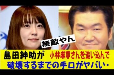 島田紳助が小林麻耶さんを追い込んで破壊するまでの手口がヤバすぎる・・・ネットの反応/なんj/2ch/5ch/反応集/スレまとめ/ゆっくり