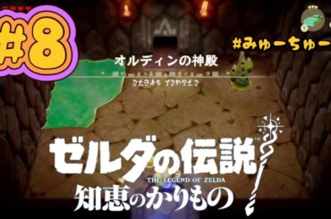 オルディンの神殿【ゼルダの伝説 知恵のかりもの #8】