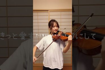 タッチ：岩崎良美（テレビアニメ『タッチ』主題歌）  #violin  #ヴァイオリン