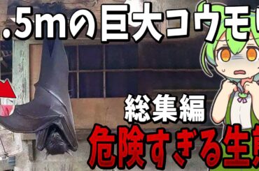 【総集編】眠れなくなるほど面白い生物の謎５選【ずんだもん解説】