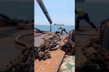 海で平和に暮らす蟹の末路がヤバすぎる… The fate of the crabs that live peacefully in the sea is horrifying🦀