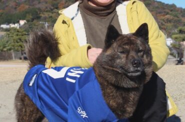 うちのアイドル（３１）甲斐犬（９歳）ゾロくん・立見雅代さん / 伊豆新聞デジタル