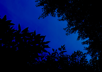 黒獅子、「幽玄」を配信開始｜THE MAGAZINE