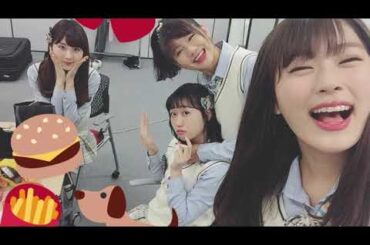 【ゴールデンウイークの行楽地をレポートしよう】大阪城＆渡月橋なぎむらさんぽ